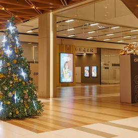 новогодняя ель в тц Среда 2026