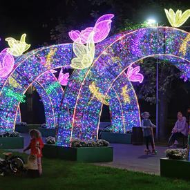светящиеся арки в парке